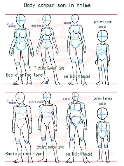 Different body shapes outline